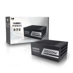 InWin 迎廣科技 P250II/2500W/V3.1/白金牌 /美/10Y